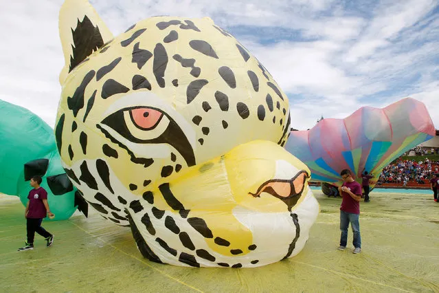 A leopard balloon is seen during the 16th Solar Balloon Festival in Envigado, Colombia, December 31, 2016. (Photo by Fredy Builes/Reuters)