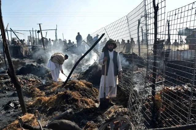 Traders salvage their stock from burnt out shops in Chaman, Pakistan, 14 February 2016. Some 50 shops in a grocery market were burnt by a fire damaging stocks worth hundreds of thousands of rupees in Chaman. (Photo by Akhter Gulfam/EPA)