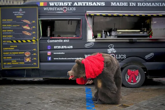 A man wearing a bear fur costume looks at his mobile phone while waiting for his wurst order to be prepared after a parade showcasing winter traditions from the northeast of the country in Bucharest, Romania, Sunday, December 18, 2022. The custom originated in pre-Christian times, when dancers wearing colored costumes or animal furs went village households, singing and dancing to ward off evil. (Photo by Vadim Ghirda/AP Photo)