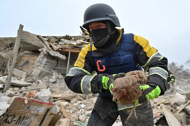 A rescue team member carries a chicken found among debris at a site of residential buildings destroyed by a Russian missile strike in Zaporizhzhia, Ukraine on March 22, 2024. (Photo by Reuters/Stringer)