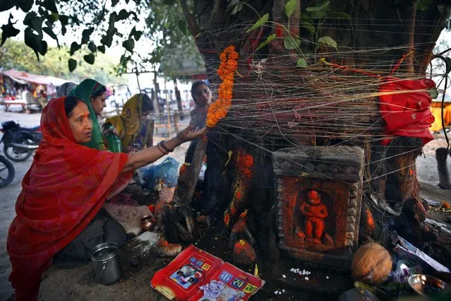 Hindu women offer prayers to a peepal tree on Somvati Amavasya in Allhabad, India, Monday, May 18, 2015. (Photo by Rajesh Kumar Singh/AP Photo)
