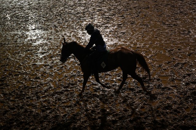 A horse works out in the rain at Churchill Downs Friday, May 3, 2024, in Louisville, Ky. The 150th running of the Kentucky Derby is scheduled for Saturday, May 4. (Photo by Charlie Riedel/AP Photo)