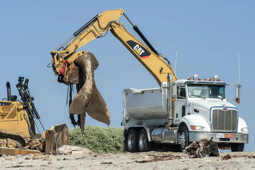 The Day in Photos – May 1, 2016