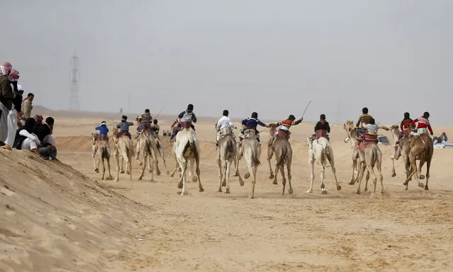 Jockeys, most of whom are children, compete on their mounts during the International Camel Racing festival at the Sarabium desert in Ismailia, Egypt, March 21, 2017. (Photo by Amr Abdallah Dalsh/Reuters)