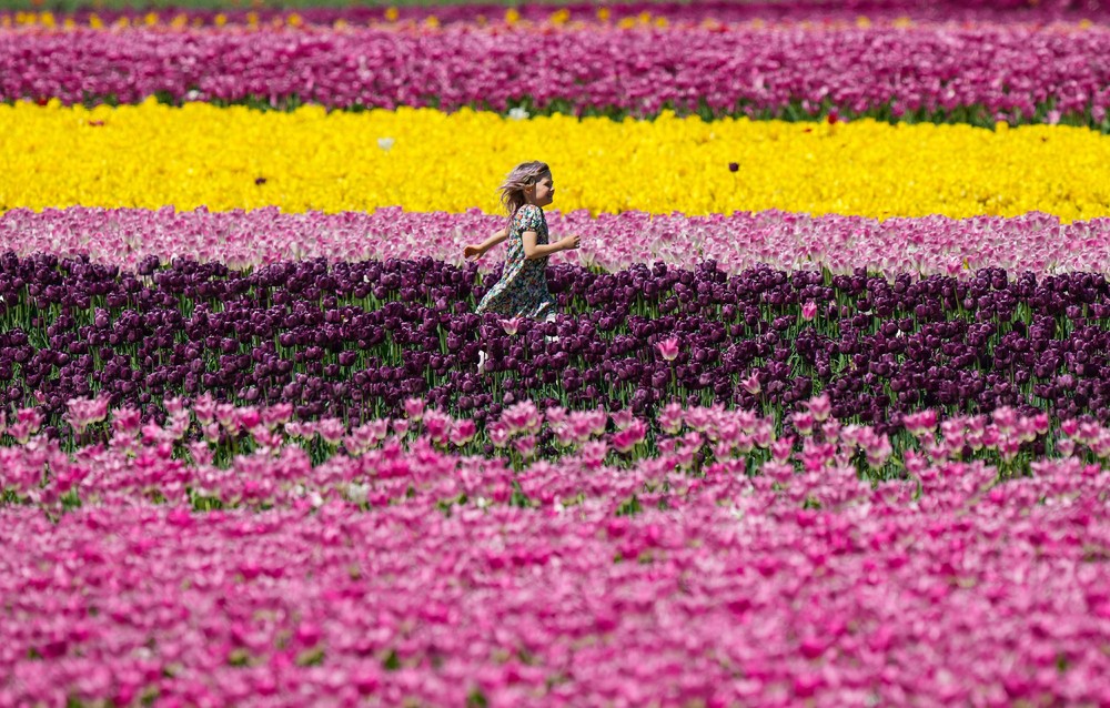 Some Photos: In Flowers