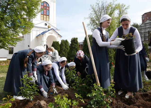 Pupils of a monastery's “Kind girl  school on Solba” plant roses during the monastery festival of hospitality in St. Nicholas Solba monastery in Yaroslavl region, Russia, 15 May 2016. St. Nicholas Solba monastery invites people to celebrate holidays and to spend time together to restore the Russian national tradition of hospitality and charity. (Photo by Sergei Chirikov/EPA)