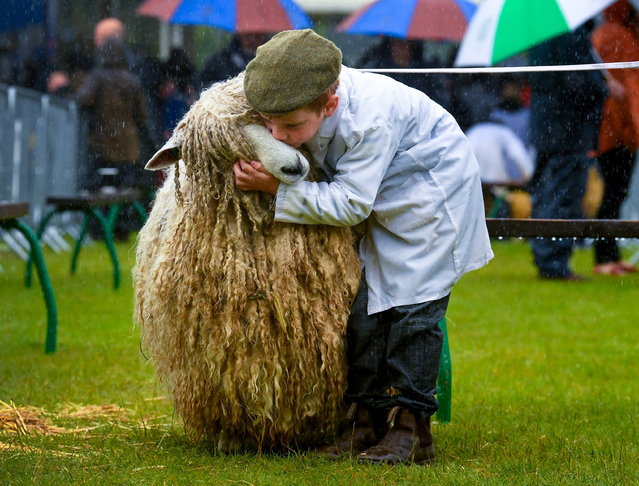 Benjamin Brook aged 6 from Camblesforth hugs his Lincoln Longwool Skylark Orange at the Great Yorkshire Show, UK on July 10, 2024. (Photo by South West News Service)