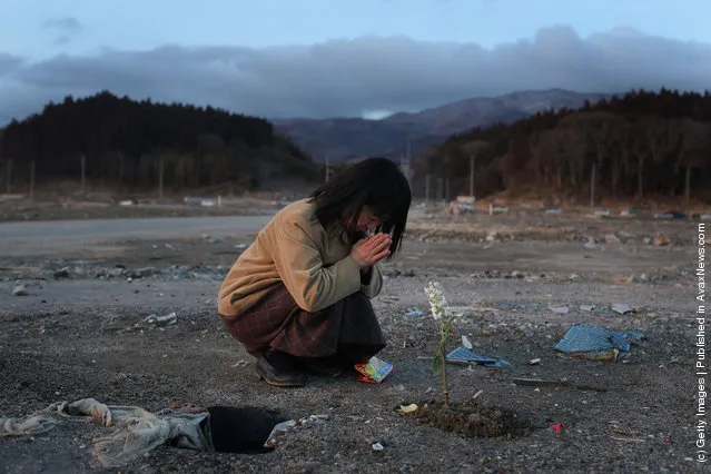 Keiko Suzuki, 40 prays at the site of her uncle's home on March 11, 2012 in Rikuzentakata, Japan