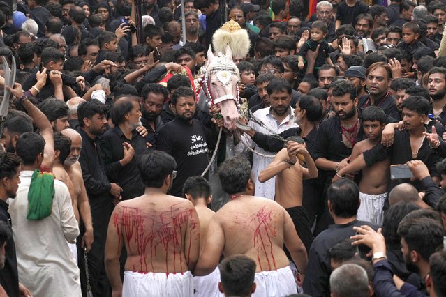 Shiite Muslims flagellate themselves with knifes attached to chains in front of a horse, that symbolizes the horse that carried Imam Hussein during the battle of Karbala, during a Muharram procession, in Lahore, Pakistan, Tuesday, July 16, 2024. Muharram, the first month of the Islamic calendar, is a month of mourning for Shiites in remembrance of the death of Hussein, the grandson of the Prophet Muhammad, at the Battle of Karbala in present-day Iraq in the 7th century. (Photo by K.M. Chaudary/AP Photo)