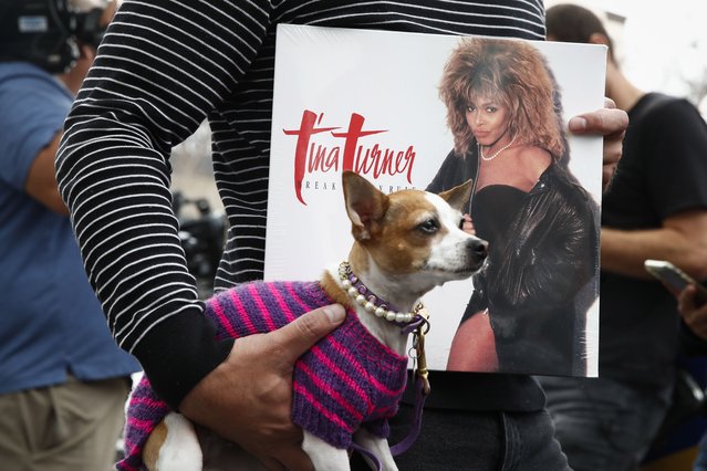 Ed Banalis holds a Tina Turner record next to her Hollywood Walk of Fame Star in Los Angeles, California, USA, 24 May 2023. Turner died on 24 May after a long illness at her home in Switzerland. (Photo by Caroline Brehman/EPA)