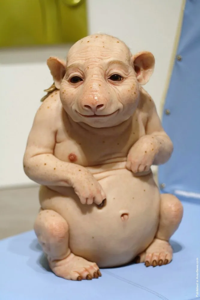 Sculptures by Patricia Piccinini