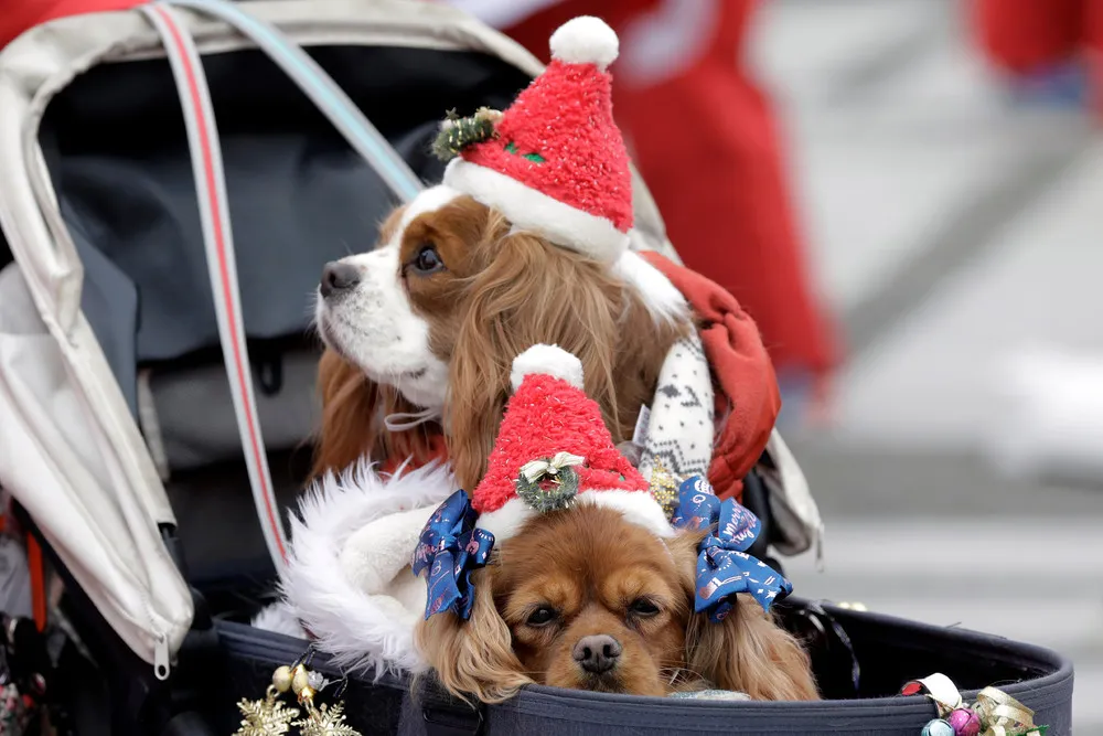 Christmas Madness 2019