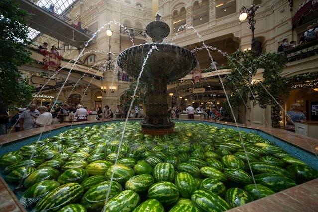 Watermelons are seen at the start of the watermelon season in a fountain in the center of the GUM, Moscow's largest luxury goods store at Red Square, in Moscow, Russia, Tuesday, August 6, 2024. (Photo by Alexander Zemlianichenko/AP Photo)