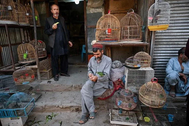 A bird vendor feeds his parakeet while waiting for customers in the Ka Faroshi bird market in Kabul on July 16, 2022. (Photo by Lillian Suwanrumpha/AFP Photo)