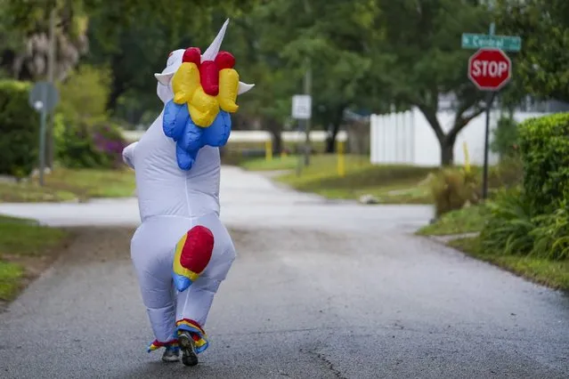 Corey Jurgensen has been wearing an inflatable unicorn costume during runs several times a week to cheer up others during this time of isolation but finds it therapeutic for herself as well to run through her Seminole Heights neighborhood wearing a costume, Thursday, April 16, 2020 in Tampa, Fla. (Photo by Martha Asencio Rhine/Tampa Bay Times via AP Photo)
