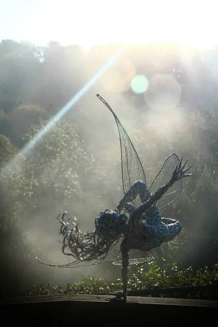 Fantasy Wire Fairies Sculptures By Robin Wight