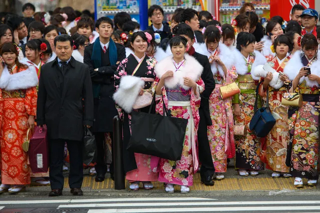 Women wearing kimonos wait to cross a road as they leave after attending a Coming of Age ceremony on January 8, 2018 in Yokohama, Japan. Coming of Age Day is a Japanese holiday held every January to celebrate people who have reached 20 – the official age of adulthood in Japan. Yokohama city, with almost 37,000 people turning 20 this year, is holding one of the largest events in the country. (Photo by Carl Court/Getty Images)