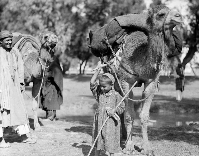 An unidentified youngster from a tribe in Afghanistan leads his camel down en route to India, with most of his family's earthly possessions, December 27, 1933.  Along the Khyber Pass in the Himalayas is the highway from Afghanistan, China, and Russia into India, and thousands of camel caravans pass through every year. (Photo by AP Photo)
