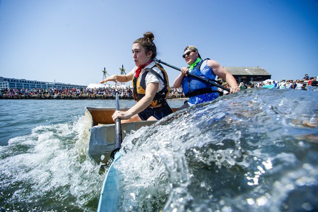 Crews paddle fast towards the turning mark during the annual Great Salem Maritime Cardboard Boat Regatta in Salem, Massachusetts on August 9, 2025. (Photo by Joseph Prezioso/Anadolu via Getty Images)