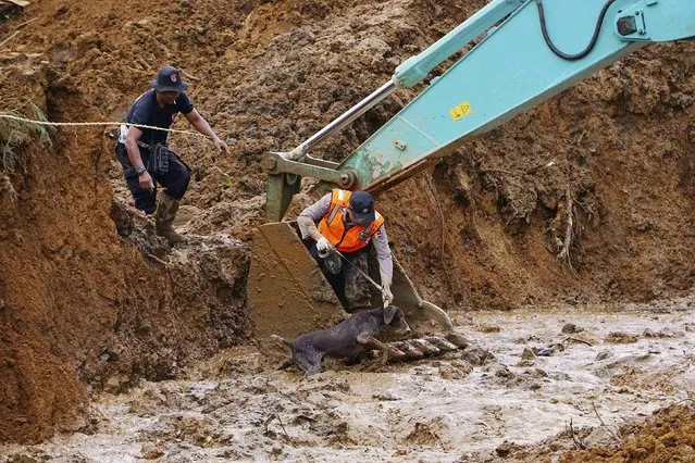 A policeman, with a rescue dog, stands in an excavator as they search for landslides victims at Sampang village in Banjarnegara, December 15, 2014, in this photo taken by Antara Foto. The landslide destroyed a village and killed at least 32 people, officials said, with scores still missing. (Photo by Idhad Zakaria/Reuters/Antara Foto)