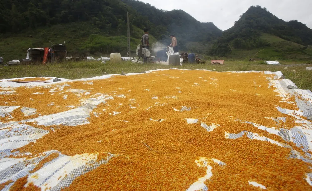 A Look at Life in Vietnam