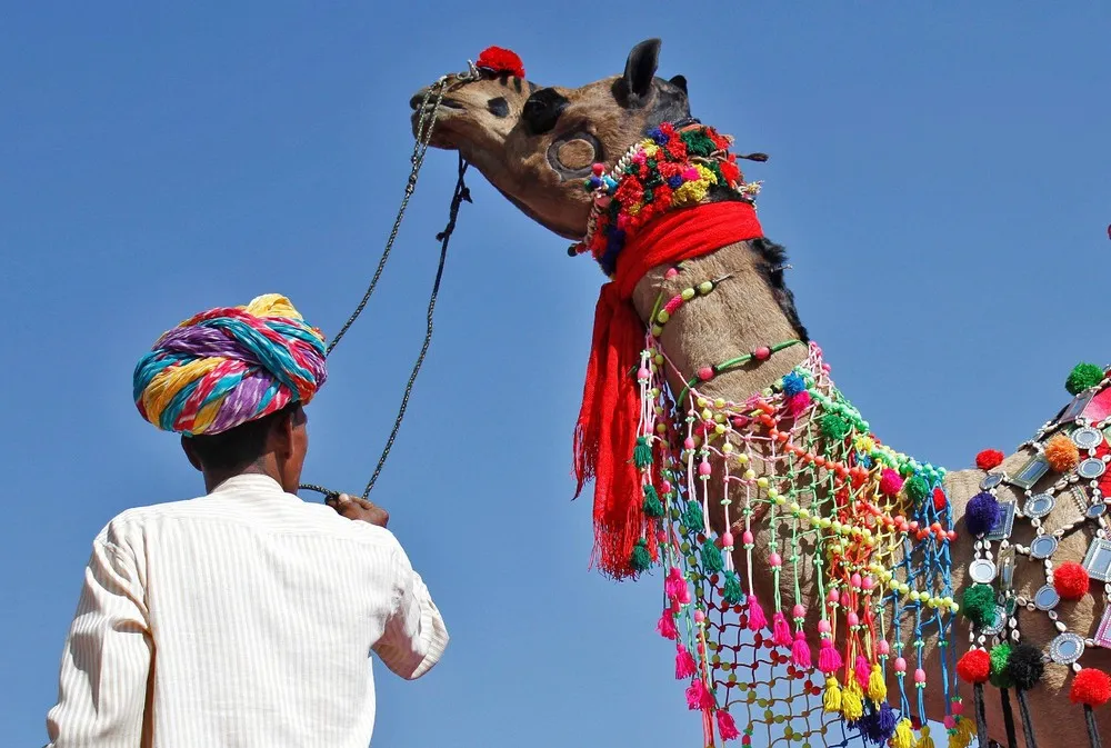 A Look at Life in India