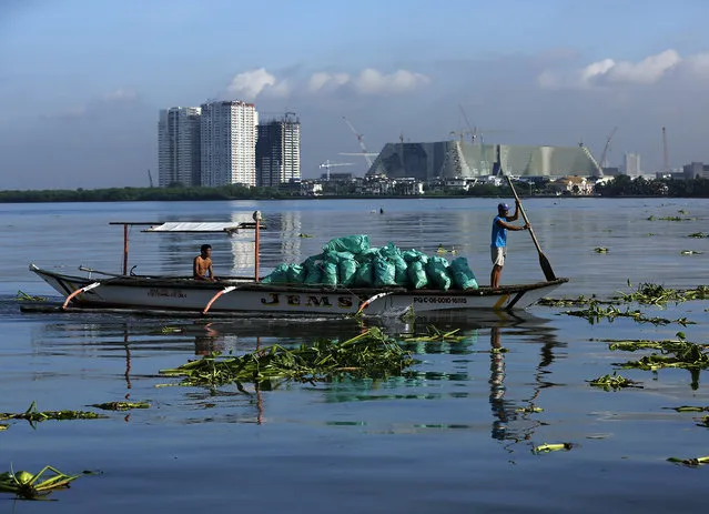 Filipino fishermen on a boat maneuver amongst water lilies along Manila Bay in Paranaque city, Philippines, October 1, 2016. According to state weather bureau, Philippine Atmospheric Geophysical and Astronomical Services Administration (PAGASA), Tropical Storm Chaba has entered Philippine Area of responsibility (PAR). Fisherfolk have been alerted on rough seas at the eastern seaboards of Luzon Island and residents have been informed on moderate to heavy rains. (Photo by Eugenio Loreto/EPA)
