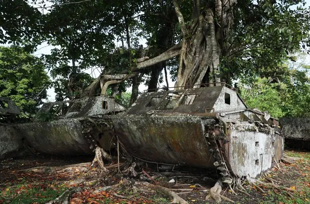 Debris of the United States Marine Corps amphibious tractors remain in a jungle on September 7, 2016 in Guadalcanal Island, Solomon Islands. (Photo by The Asahi Shimbun via Getty Images)