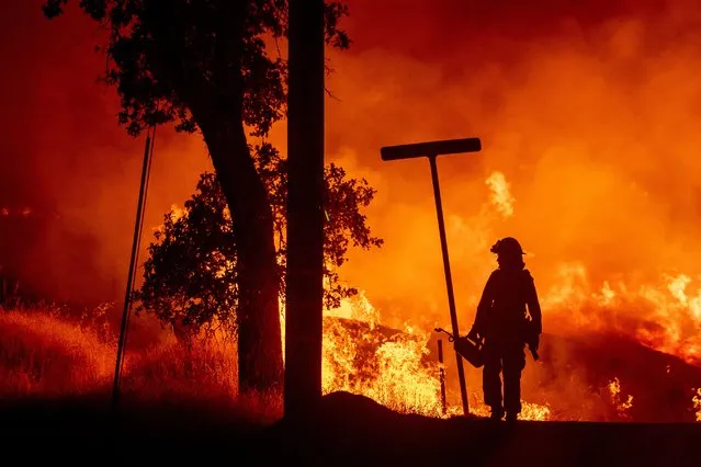 A firefighter lights backfires during the Carr fire in Redding, California on July 27, 2018. One firefighter has died and at least two others have been injured as wind-whipped flames tore through the region. One person has died and at least two others have been injured as wind-whipped flames tore through the region. (Photo by Josh Edelson/AFP Photo)