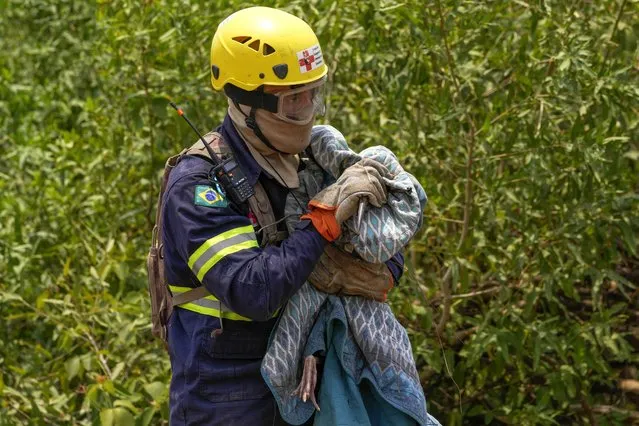 A veterinarian carries an injured bird he rescued in an area consumed by wildfires near the Transpantaneira, also known as MT-060, a road that crosses the Pantanal wetlands, near Pocone, Mato Grosso state, Brazil, Thursday, November 16, 2023. (Photo by Andre Penner/AP Photo)