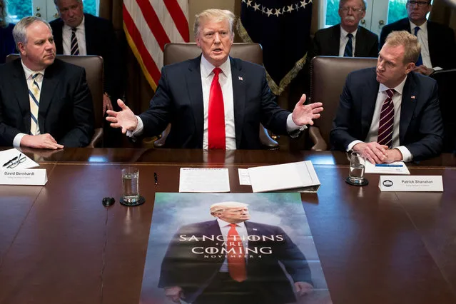 President Donald J. Trump (C) speaks in front of a poster depicting his image, beside US Acting Secretary of the Interior David Bernhardt (L) and Acting Secretary of Defense Patrick Shanahan (R) during a meeting with members of Trump's Cabinet in the Cabinet Room of the White House in Washington, DC, USA, 02 January 2019. President Trump used the opportunity to speak on plans to host Congressional Democratic and Republican leaders to discuss the ongoing partial shutdown of the federal government and funding for border security. Trump also spoke on international affairs and the economy. (Photo by Michael Reynolds/EPA/EFE)