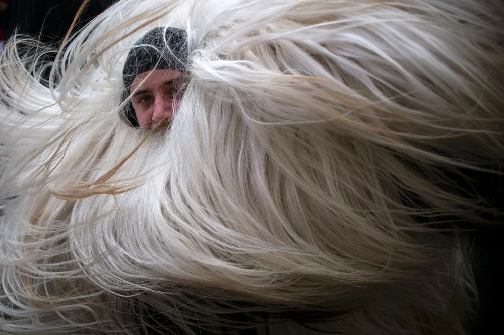 The Day in Photos – January 30, 2017