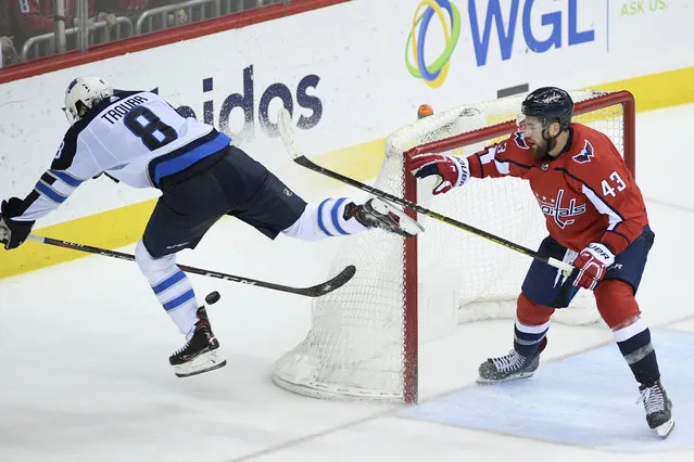 Winnipeg Jets defenseman Jacob Trouba (8) chases after the puck past Washington Capitals right wing Tom Wilson (43) during the third period of an NHL hockey game, Sunday, March 10, 2019, in Washington. The Capitals won 3-1. (Photo by Nick Wass/AP Photo)
