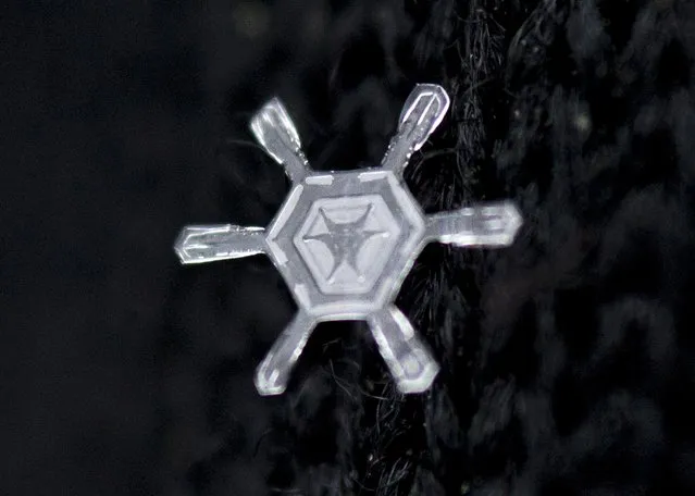 A snowflake crystallizes in a simple hexagonal pattern after falling on a black glove in Knoxville on Tuesday, January 28, 2014. (Photo by Adam Lau/News Sentinel)