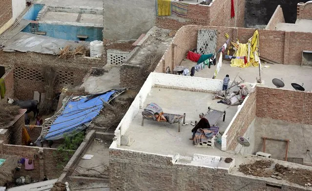 People rest on a roof top in the town of Barsana in the Uttar Pradesh region of India, March 16, 2016. (Photo by Cathal McNaughton/Reuters)