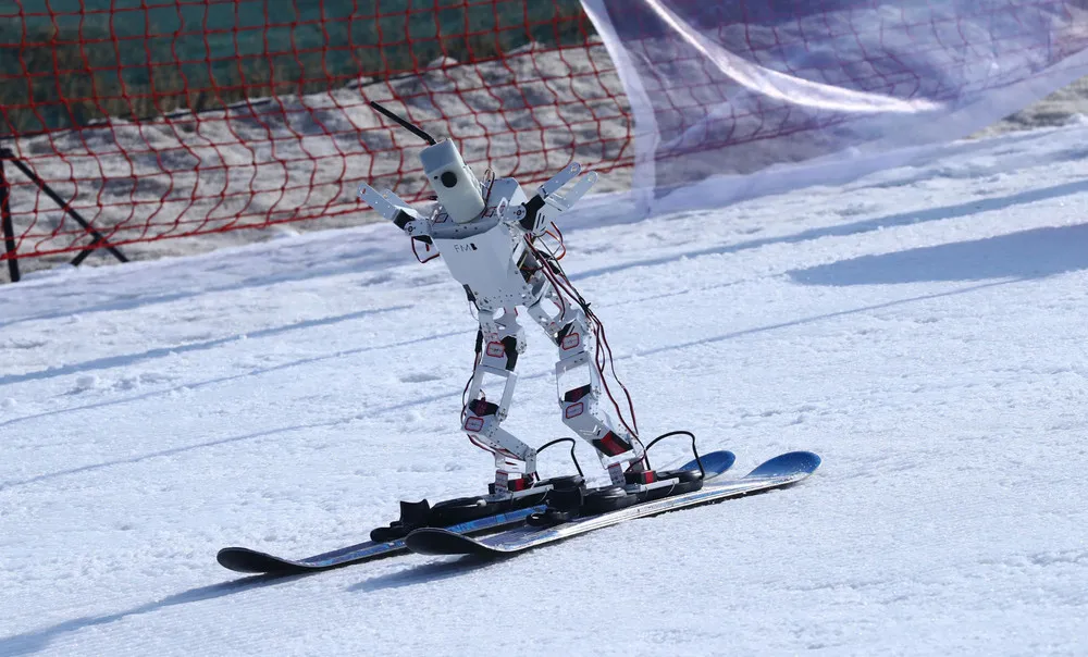 Pictures of the Year 2021, Part 15/102