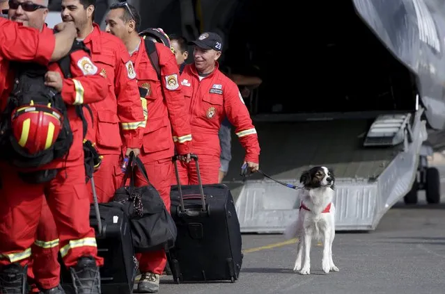 Peruvian Rescue team members return from a mission to help Ecuador earthquake victims, at a naval aviation base in Callao, Peru, April 22, 2016. (Photo by Janine Costa/Reuters)