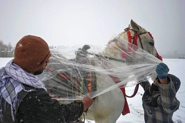 Youths cover their horse which is used to give horseback rides to visitors during a snowfall at the Qargha lake in Kabul on January 3, 2022. (Photo by Mohd Rasfan/AFP Photo)