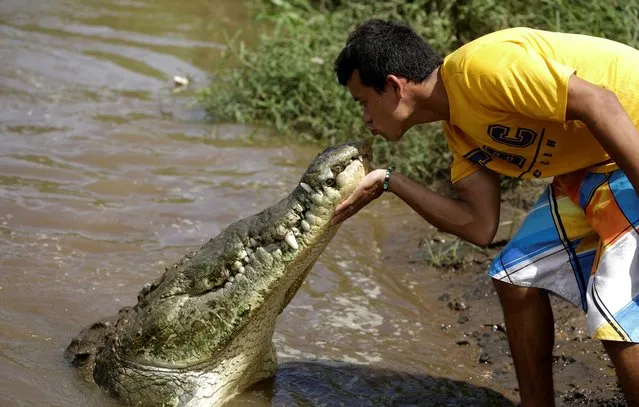 Juan Cerdas, whose hobby is feeding wild crocodiles, kisses a large crocodile in the Tarcoles River, a river with one of the highest crocodile population in the world, in Tarcoles, province of Puntarenas, Costa Rica, July 16, 2019. (Photo by Juan Carlos Ulate/Reuters)