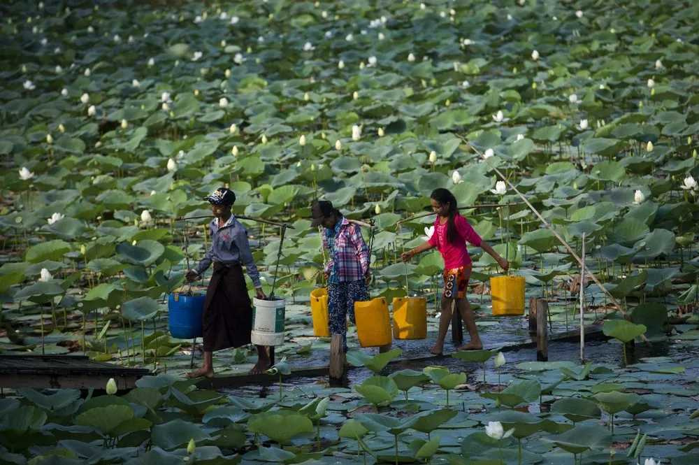 The Day in Photos – May 7, 2016