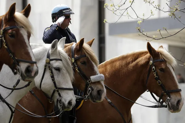 An Albany Police Department mounted unit officer salutes during a ceremony at the State of New York Police Officers Memorial on Tuesday, May 6, 2014, in Albany, N.Y. The names of 20 police officers who died in the the line of duty were added to the memorial, including 13 who died from ground zero-related illnesses after the 9/11 attacks. (Photo by Mike Groll/AP Photo)