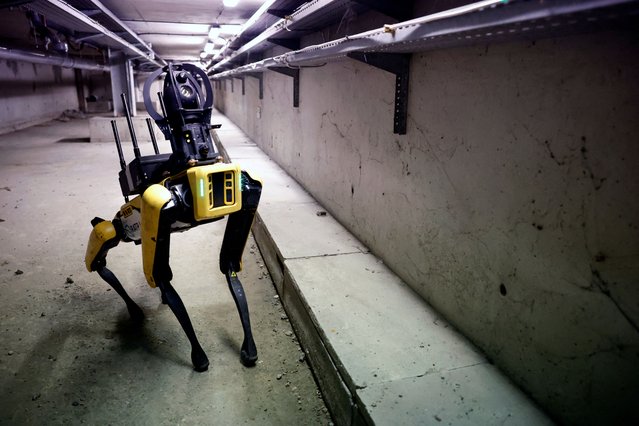 The “Spot” Robot dog named Perceval, developed by Boston-based Dynamics, inspects a suburban rapid transit (RER) sub-dock with Paris transport RATP networks maintenance team, in Torcy, near Paris, France on April 18, 2023. (Photo by Sarah Meyssonnier/Reuters)