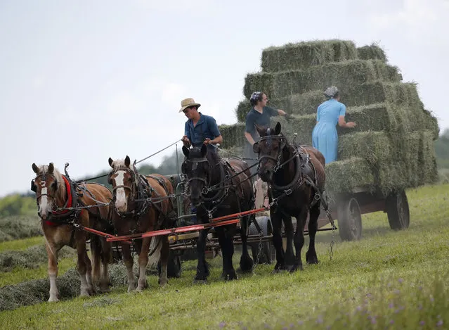 Workers bale hay at an Amish farm on Friday, July 24, 2015, in Springfield, N.Y. (Photo by Mike Groll/AP Photo)