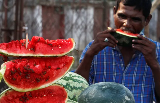 A man eats a piece of watermelon from a roadside shop in Agartala, India, May 24, 2017. (Photo by Jayanta Dey/Reuters)