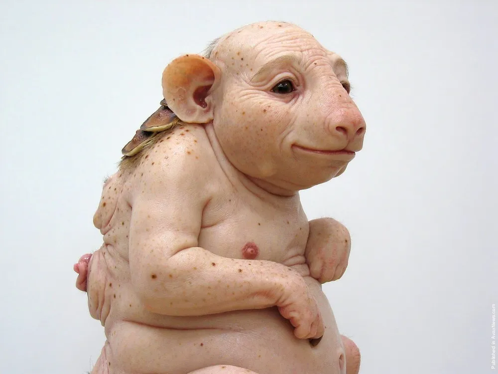 Sculptures by Patricia Piccinini