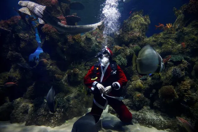 A diver dressed as Santa Claus feeds fish and sharks inside a fish tank at the Malta National Aquarium in Qawra, Malta on December 18, 2019. (Photo by Darrin Zammit Lupi/Reuters)