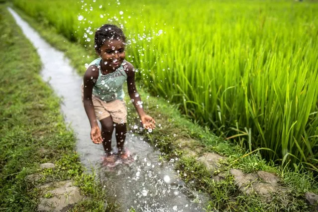 A child plays near a paddy field on the outskirts of Gauhati, India, Saturday, April 30, 2022. (Photo by Anupam Nath/AP Photo)