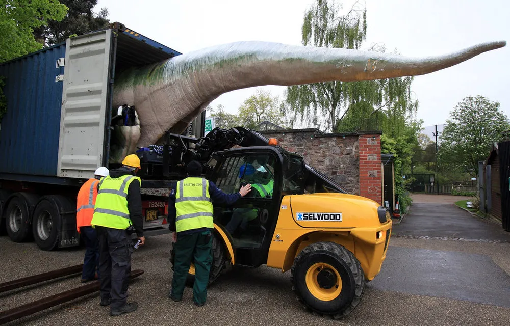 Bristol Zoo Welcome 12 Animatronic Dinosaurs To Their Grounds