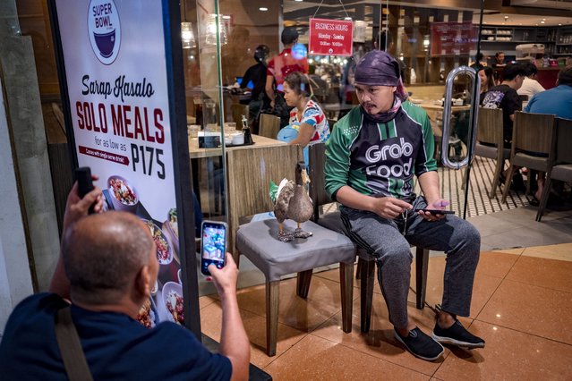 A mallgoer takes pictures as Kwak Kwak, a duck, waits for an order with its owner, GrabFood rider Christian Navarro Lacson, outside a restaurant on September 01, 2024 in Mandaluyong, Metro Manila, Philippines. A GrabFood delivery rider in the Philippines has gone viral for his unique “wingman” a duck. Kwak Kwak, a duck dressed in a green GrabFood-branded diaper, is often seen waddling beside its owner, Christian Navarro Lacson, at malls and restaurants around Manila, riding escalators, and standing by as the rider collects orders. One of several videos posted on TikTok featuring the “Grab duck” has garnered nearly three million views, making both Kwak Kwak and Mr. Lacson internet celebrities. (Photo by Ezra Acayan/Getty Images)