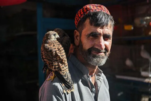 A bird vendor poses with two kestrels as he waits for customers in the Ka Faroshi bird market in Kabul on July 16, 2022. (Photo by Lillian Suwanrumpha/AFP Photo)